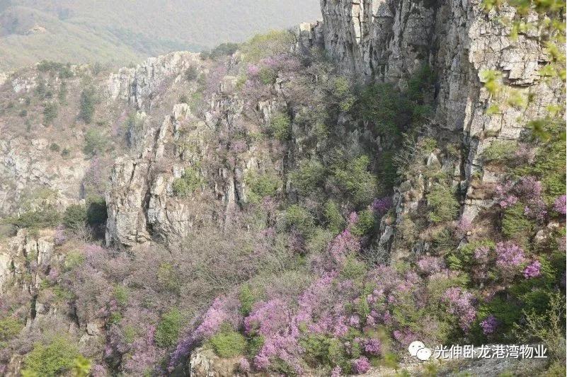 太阳城官网(中国)集团有限公司
