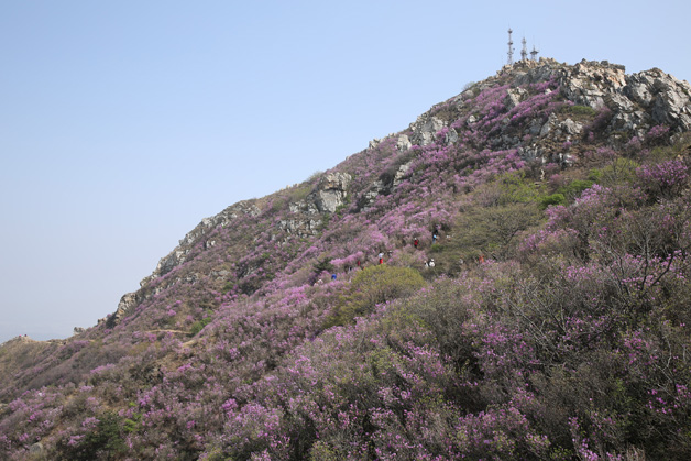 太阳城官网(中国)集团有限公司