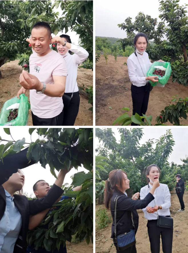 太阳城官网(中国)集团有限公司