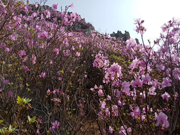 太阳城官网(中国)集团有限公司