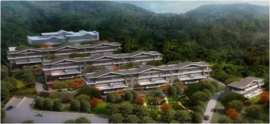 太阳城官网(中国)集团有限公司