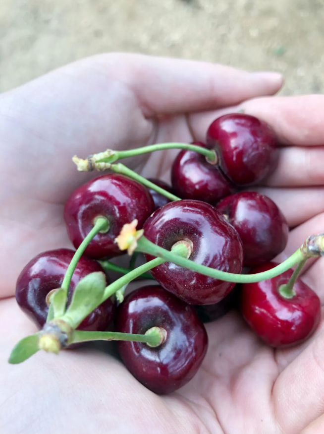 太阳城官网(中国)集团有限公司